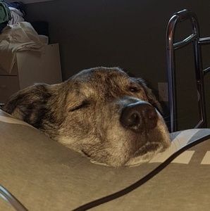 Meet your Posher, Larrisa